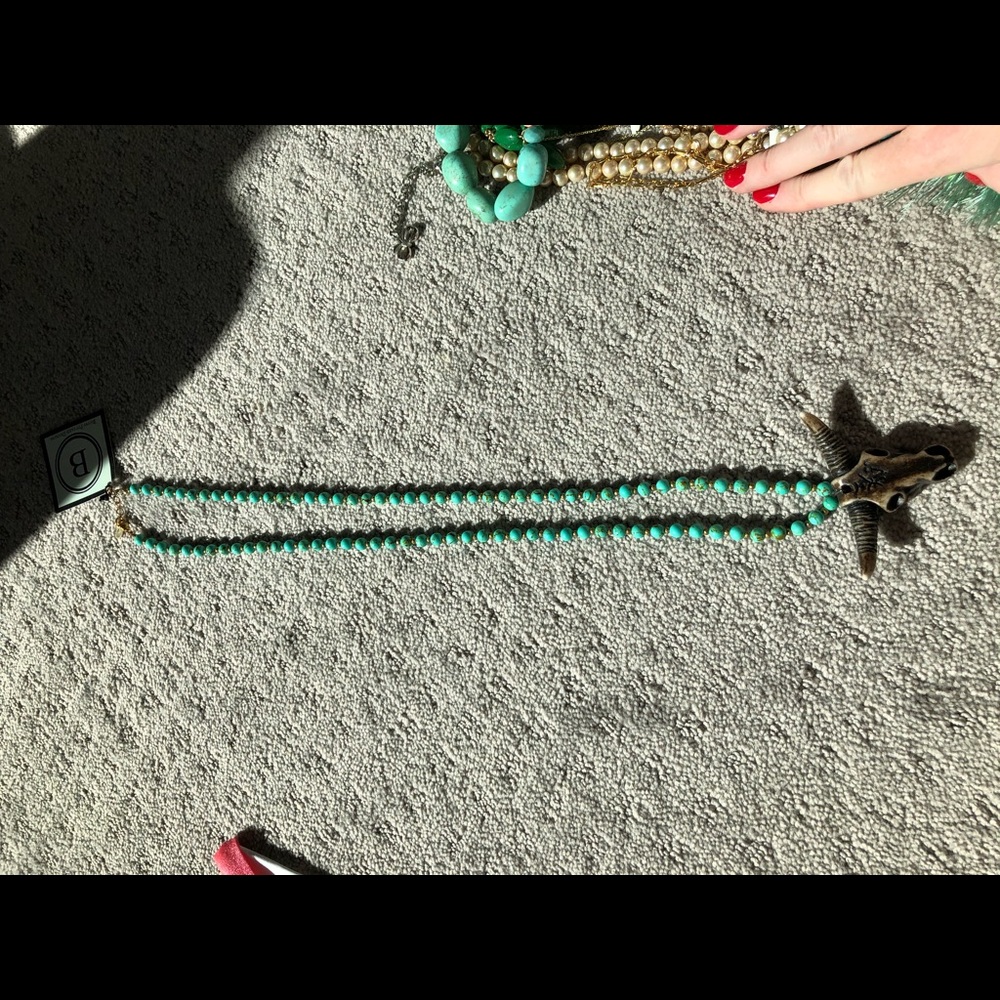 Turquoise longhorn necklace